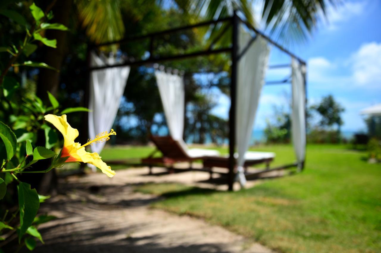 Pousada Enseada Dos Golfinhos Praia de Pipa Экстерьер фото